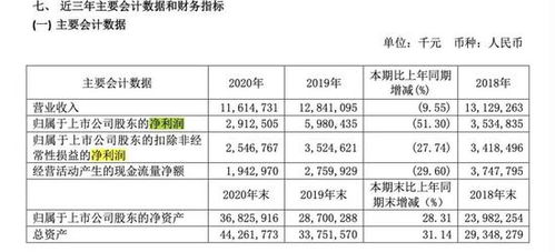 周鴻祎的追風之旅 360押注新造車，互聯(lián)網(wǎng)安全巨頭的轉(zhuǎn)型之困